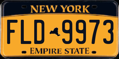 NY license plate FLD9973
