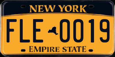 NY license plate FLE0019