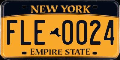NY license plate FLE0024