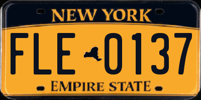 NY license plate FLE0137