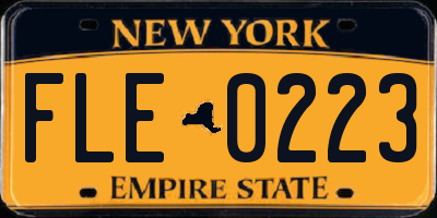 NY license plate FLE0223