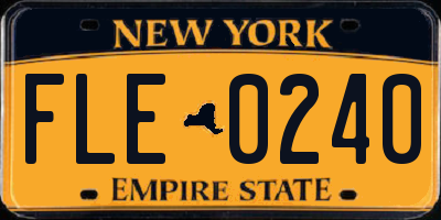 NY license plate FLE0240