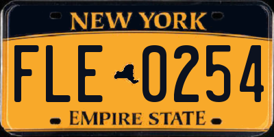 NY license plate FLE0254