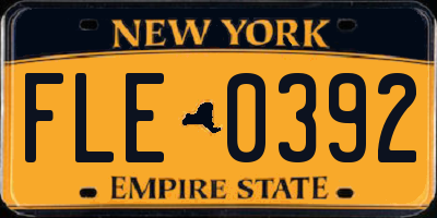 NY license plate FLE0392