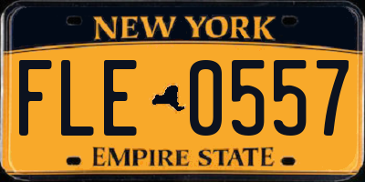 NY license plate FLE0557
