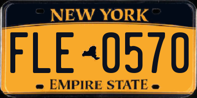 NY license plate FLE0570