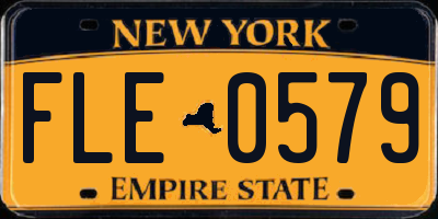 NY license plate FLE0579