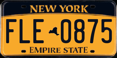 NY license plate FLE0875