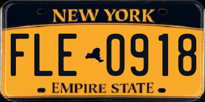 NY license plate FLE0918