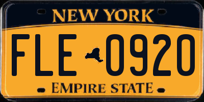 NY license plate FLE0920