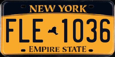 NY license plate FLE1036