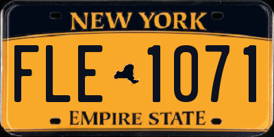 NY license plate FLE1071