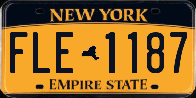 NY license plate FLE1187