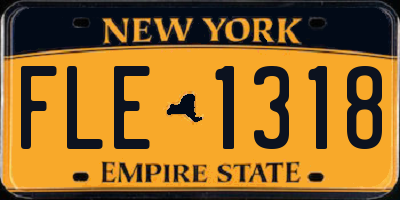 NY license plate FLE1318