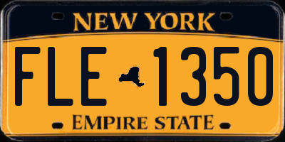 NY license plate FLE1350