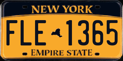 NY license plate FLE1365