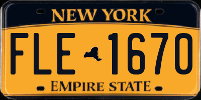 NY license plate FLE1670