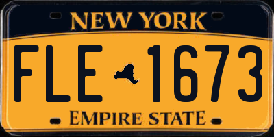 NY license plate FLE1673