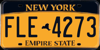 NY license plate FLE4273