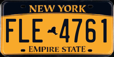 NY license plate FLE4761