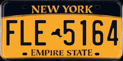 NY license plate FLE5164