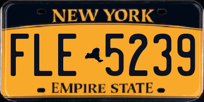 NY license plate FLE5239