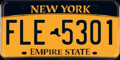 NY license plate FLE5301