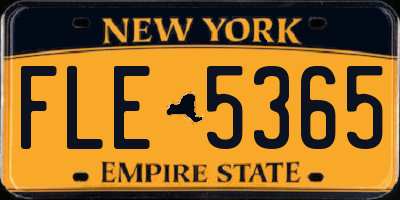 NY license plate FLE5365