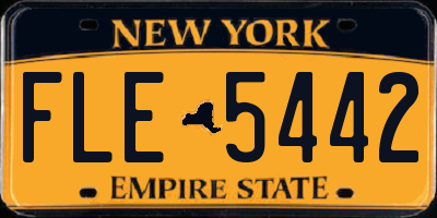 NY license plate FLE5442