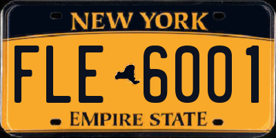NY license plate FLE6001