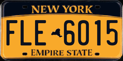 NY license plate FLE6015