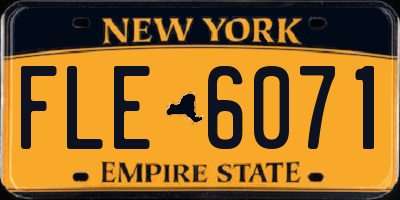 NY license plate FLE6071