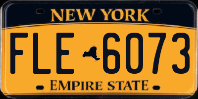 NY license plate FLE6073