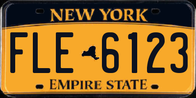 NY license plate FLE6123