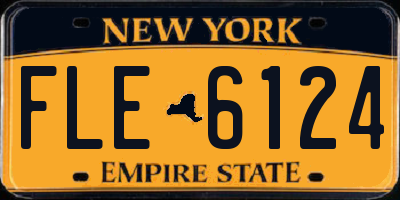 NY license plate FLE6124