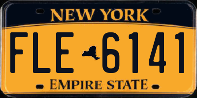 NY license plate FLE6141