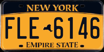 NY license plate FLE6146