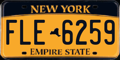 NY license plate FLE6259