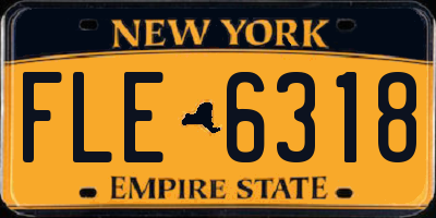 NY license plate FLE6318