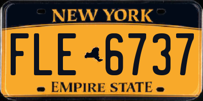 NY license plate FLE6737