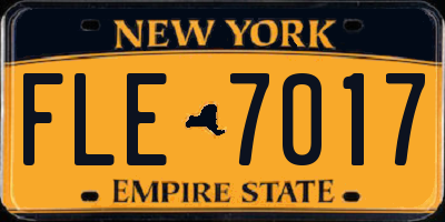 NY license plate FLE7017