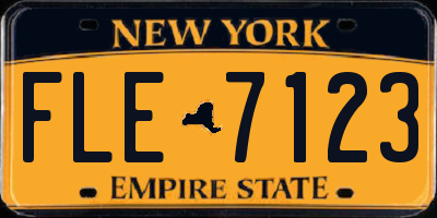 NY license plate FLE7123
