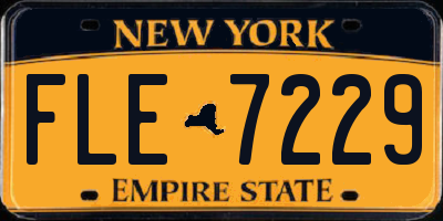 NY license plate FLE7229