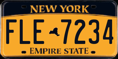 NY license plate FLE7234