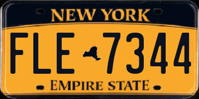 NY license plate FLE7344