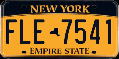 NY license plate FLE7541