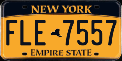NY license plate FLE7557