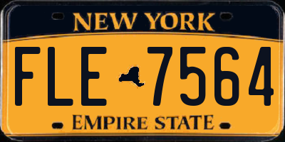 NY license plate FLE7564