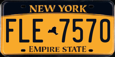 NY license plate FLE7570