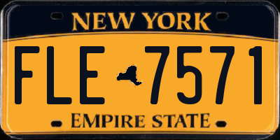 NY license plate FLE7571